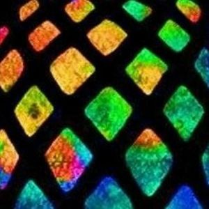 Meet your Posher, Nichole